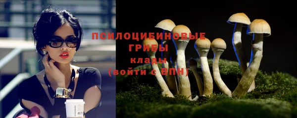 МДМА Богданович