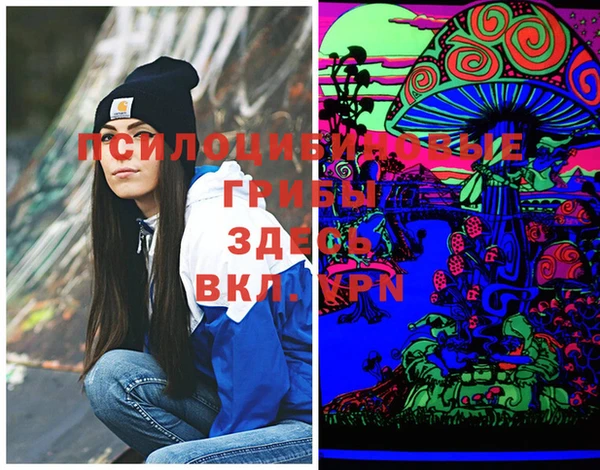 амф Богородицк