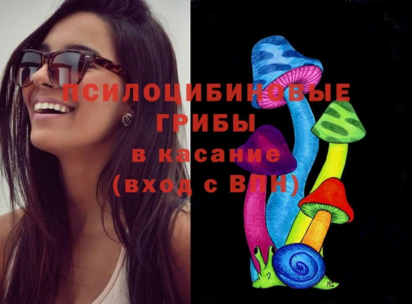 амф Богородицк