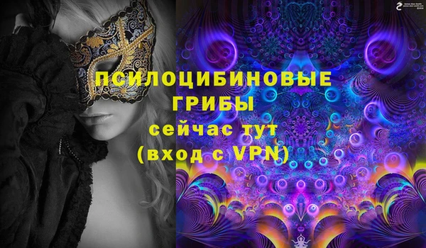 герыч Богородск