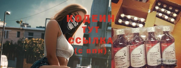 амф Богородицк