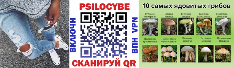площадка официальный сайт Биробиджан Галлюциногенные грибы GOLDEN TEACHER